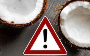 Akuter Lebensmittel-Rückruf: Schimmelpilzgift in Trink-Kokosnüssen zwingt Edeka und Marktkauf zum sofortigen Handeln
